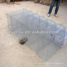 Cages d'élevage de visons